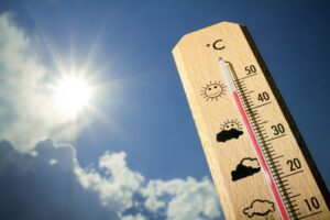 Canicule_2